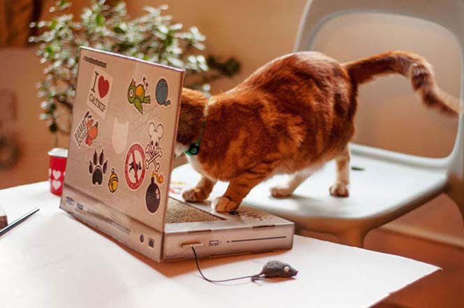 Ένα laptop ειδικά φτιαγμένο για γάτες (3)