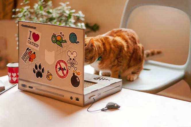 Ένα laptop ειδικά φτιαγμένο για γάτες (4)