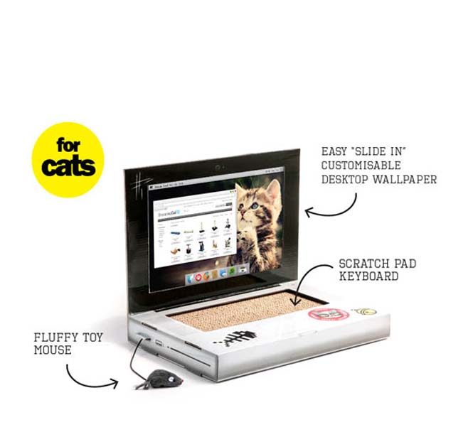 Ένα laptop ειδικά φτιαγμένο για γάτες (5)
