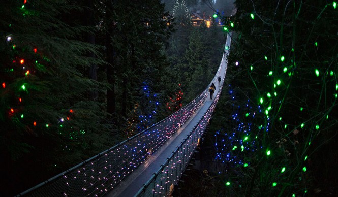 Γέφυρα που μαγεύει μέσα σε δάσος του Καναδά | Φωτογραφία της ημέρας