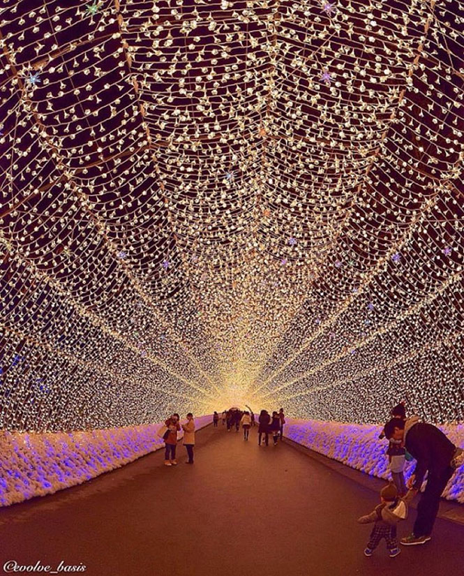 Περπατώντας σε ένα τούνελ από εκατομμύρια φωτάκια | Φωτογραφία της ημέρας