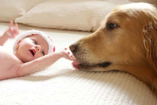 Μωρά και σκύλοι σε αξιολάτρευτες φωτογραφίες (14)