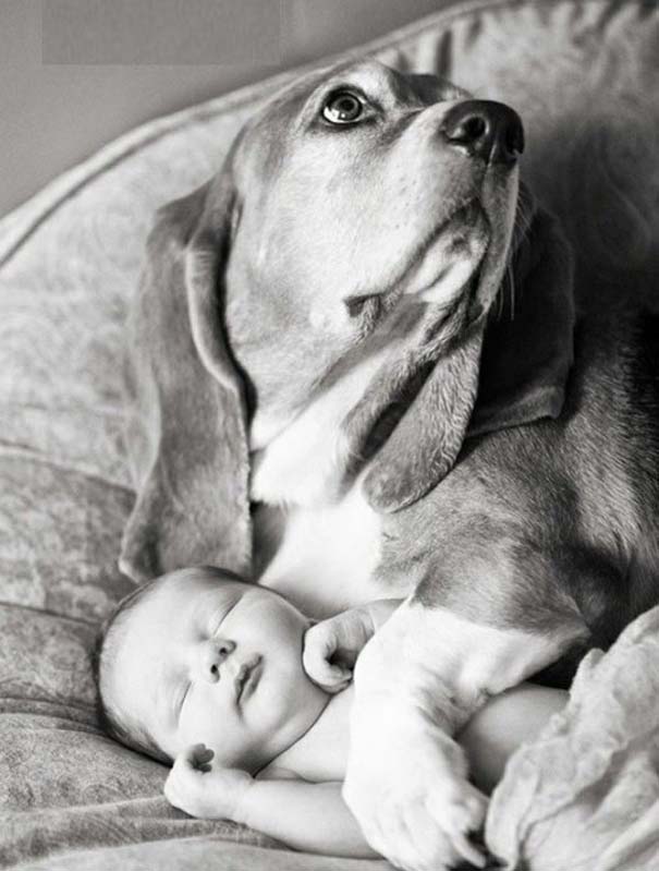 Μωρά και σκύλοι σε αξιολάτρευτες φωτογραφίες (24)