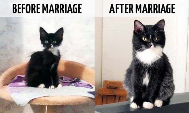 Φωτογραφίες που δείχνουν πως αλλάζει η ζωή μετά τον γάμο (1)