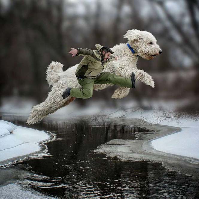 Ένας φωτογράφος και ο «γιγάντιος» σκύλος του διασκεδάζουν στο Instagram (3)