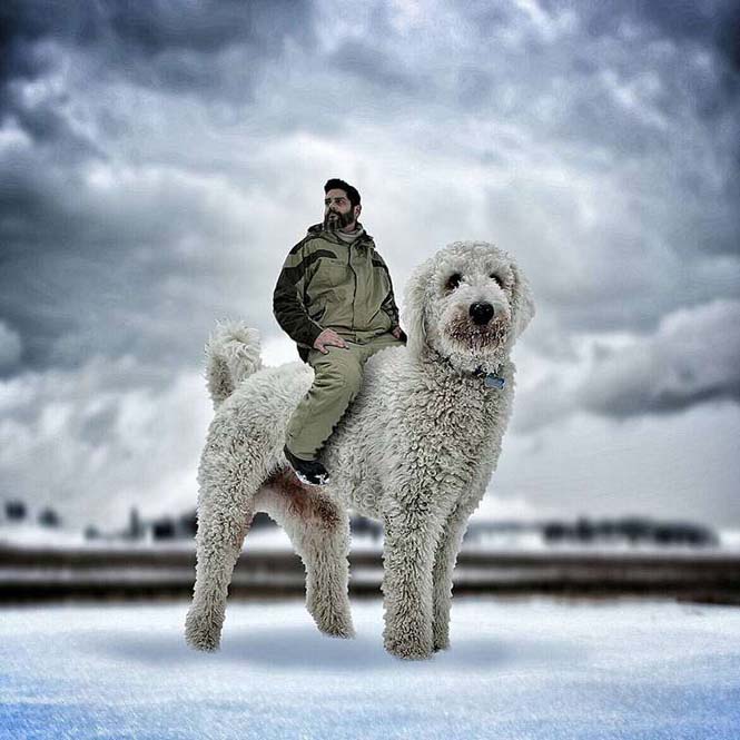 Ένας φωτογράφος και ο «γιγάντιος» σκύλος του διασκεδάζουν στο Instagram (5)