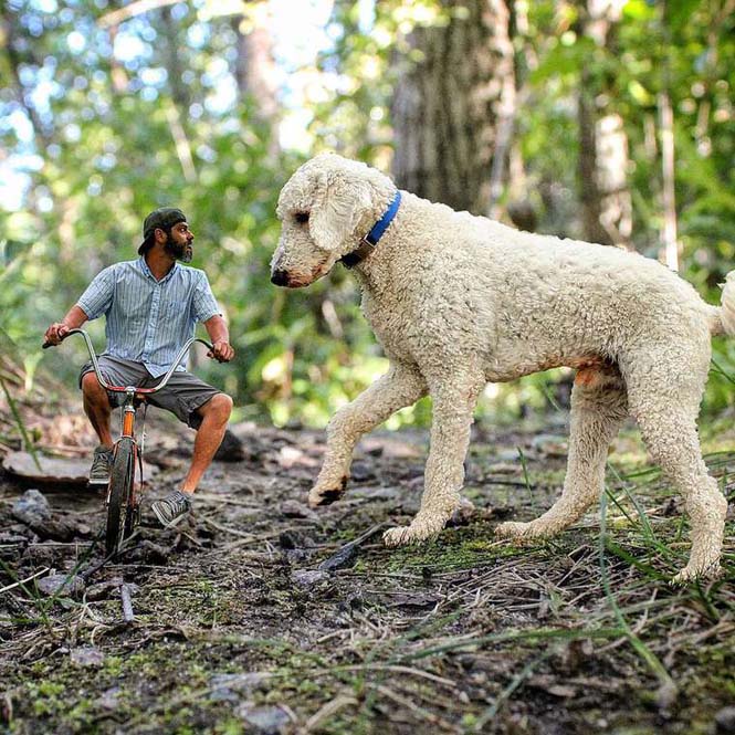 Ένας φωτογράφος και ο «γιγάντιος» σκύλος του διασκεδάζουν στο Instagram (6)