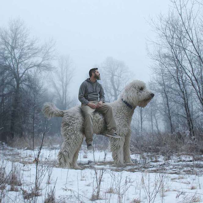 Ένας φωτογράφος και ο «γιγάντιος» σκύλος του διασκεδάζουν στο Instagram (7)