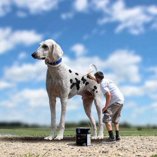Ένας φωτογράφος και ο «γιγάντιος» σκύλος του διασκεδάζουν στο Instagram (8)