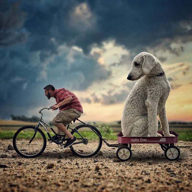 Ένας φωτογράφος και ο «γιγάντιος» σκύλος του διασκεδάζουν στο Instagram (10)