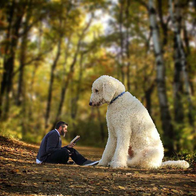 Ένας φωτογράφος και ο «γιγάντιος» σκύλος του διασκεδάζουν στο Instagram (15)