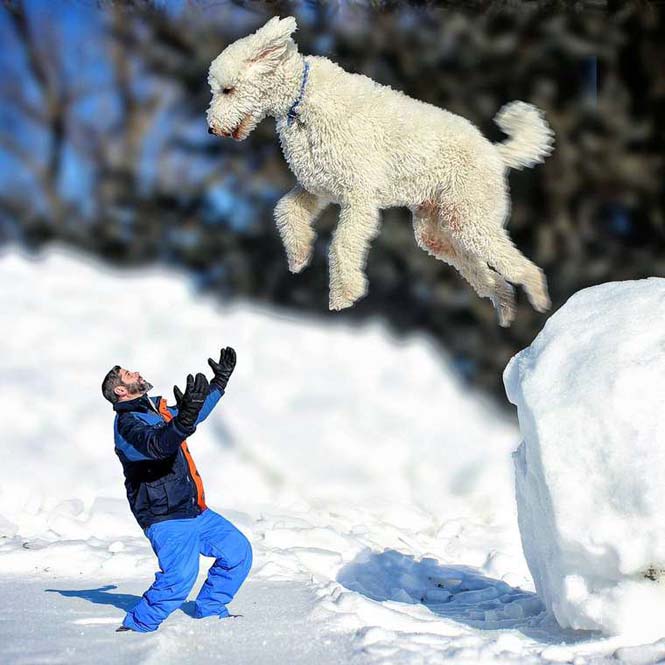 Ένας φωτογράφος και ο «γιγάντιος» σκύλος του διασκεδάζουν στο Instagram (19)