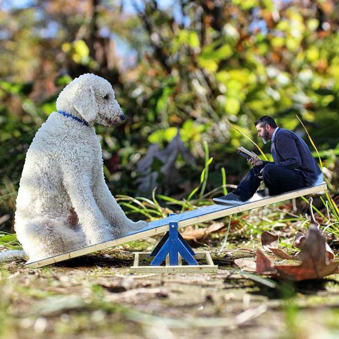 Ένας φωτογράφος και ο «γιγάντιος» σκύλος του διασκεδάζουν στο Instagram (20)