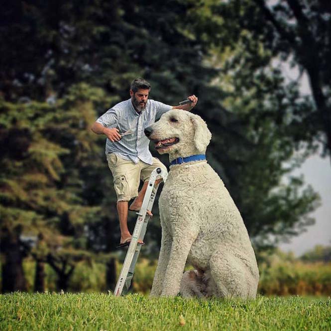Ένας φωτογράφος και ο «γιγάντιος» σκύλος του διασκεδάζουν στο Instagram (24)