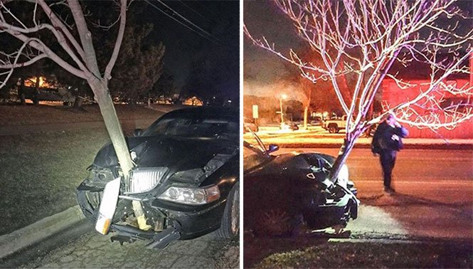Γυναίκα οδηγούσε με ένα δένδρο καρφωμένο στο αυτοκίνητο της