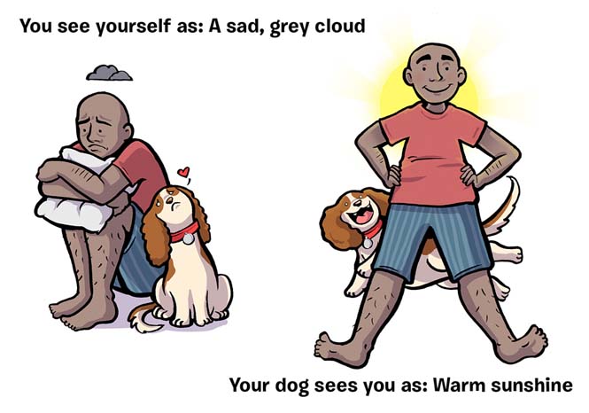 Πως βλέπεις τον εαυτό σου και πως σε βλέπει ο σκύλος σου (10)