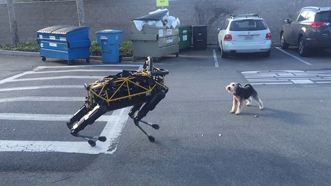 Σκύλος επιτίθεται σε ρομπότ