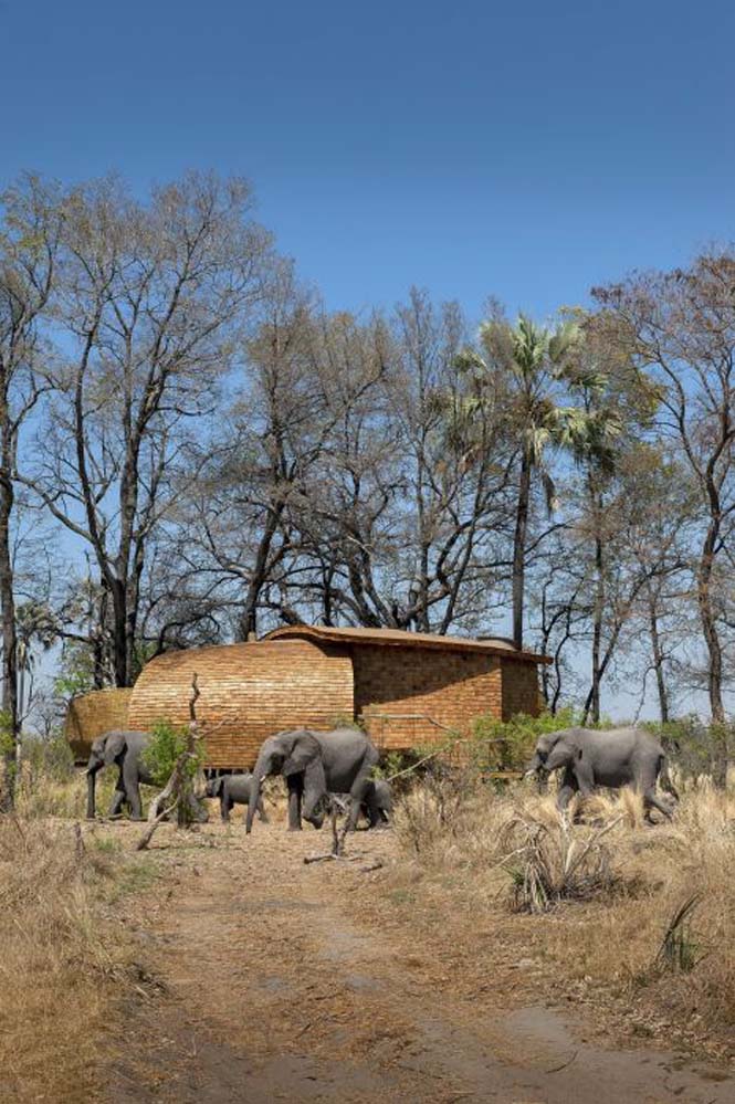 Η Μποτσουάνα διαθέτει ένα από τα κορυφαία ξενοδοχεία άγριας φύσης (19)