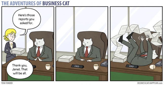 Οι ξεκαρδιστικές περιπέτειες της γάτας επιχειρηματία (2)