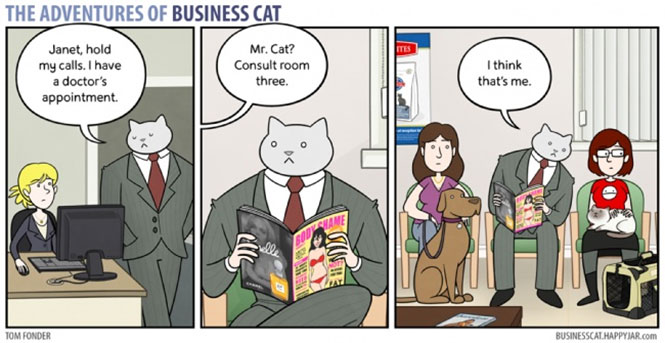 Οι ξεκαρδιστικές περιπέτειες της γάτας επιχειρηματία (7)