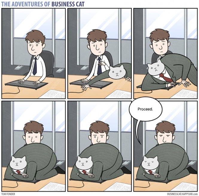 Οι ξεκαρδιστικές περιπέτειες της γάτας επιχειρηματία (8)