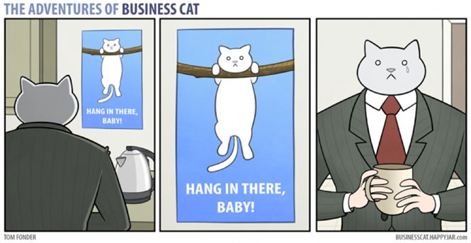 Οι ξεκαρδιστικές περιπέτειες της γάτας επιχειρηματία (10)