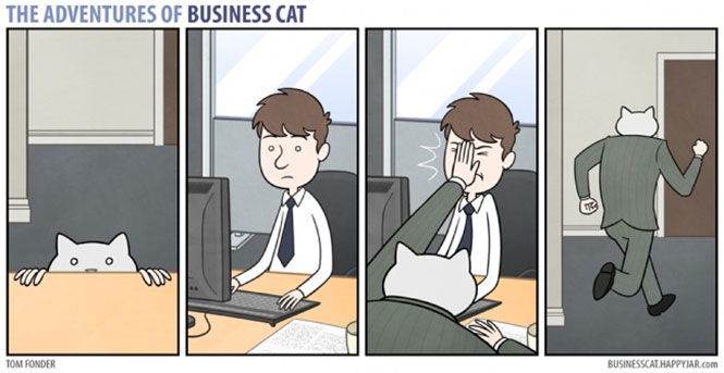 Οι ξεκαρδιστικές περιπέτειες της γάτας επιχειρηματία (17)