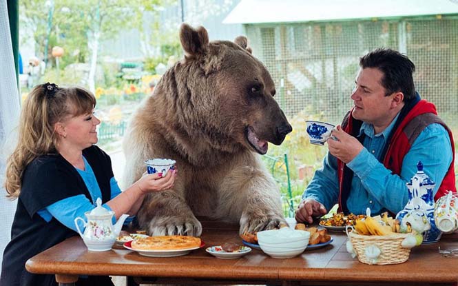 Ζευγάρι από την Ρωσία ζει με μια αρκούδα εδώ και 23 χρόνια (1)