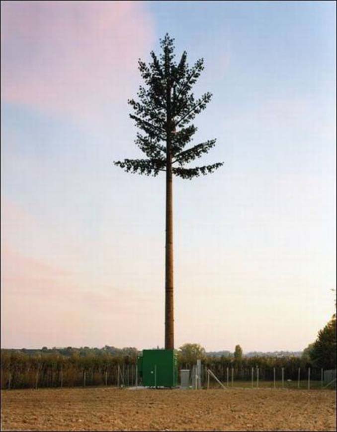 Νομίζετε πως πρόκειται για ένα δένδρο; Κοιτάξτε πιο προσεκτικά... (3)