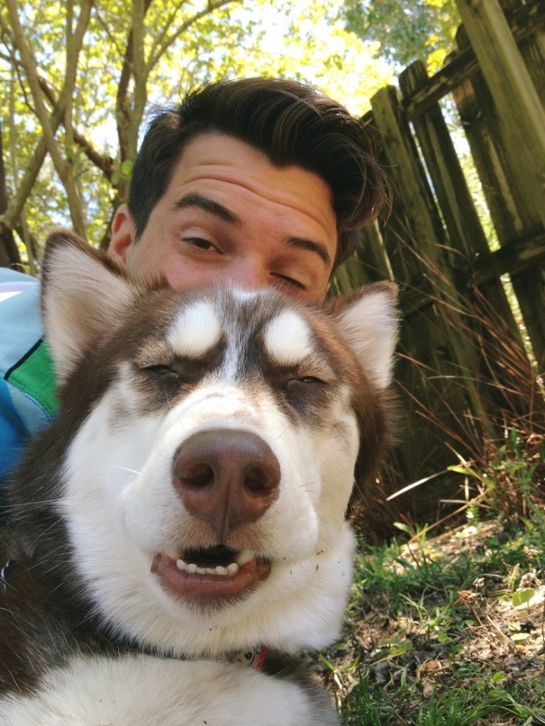 Σκύλοι που βγάζουν απίθανες selfies (2)