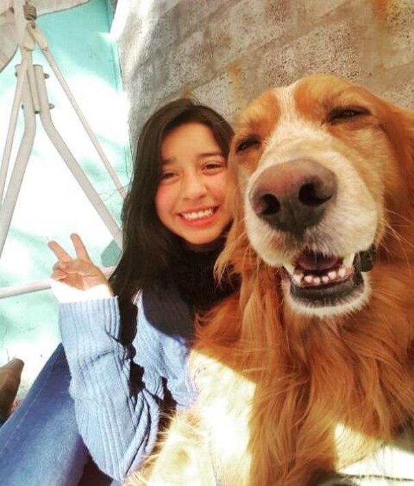 Σκύλοι που βγάζουν απίθανες selfies (20)