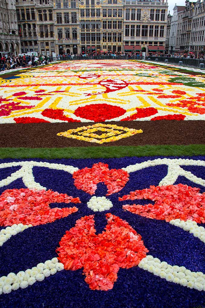 600.000 λουλούδια συνέθεσαν ένα πολύχρωμο «χαλί» 1.800 τετραγωνικών μέτρων στις Βρυξέλλες (3)