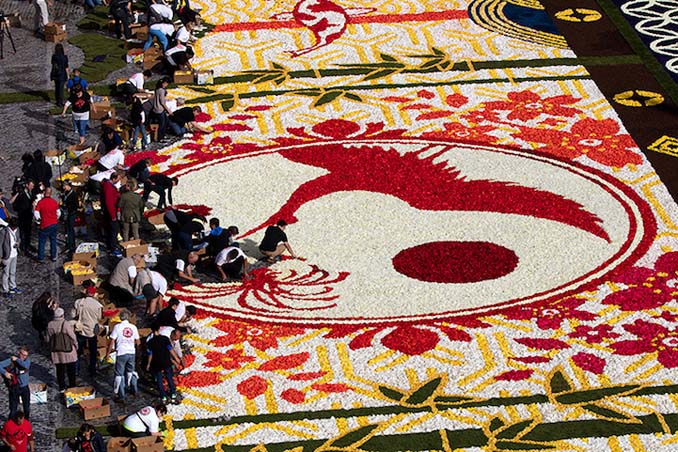 600.000 λουλούδια συνέθεσαν ένα πολύχρωμο «χαλί» 1.800 τετραγωνικών μέτρων στις Βρυξέλλες (6)