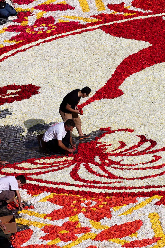 600.000 λουλούδια συνέθεσαν ένα πολύχρωμο «χαλί» 1.800 τετραγωνικών μέτρων στις Βρυξέλλες (7)
