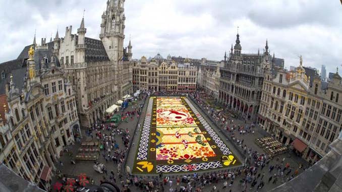 600.000 λουλούδια συνέθεσαν ένα πολύχρωμο «χαλί» 1.800 τετραγωνικών μέτρων στις Βρυξέλλες (10)
