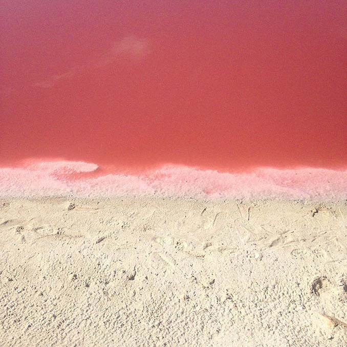 Η ροζ λιμνοθάλασσα του Μεξικού μοιάζει βγαλμένη από άλλο πλανήτη (7)