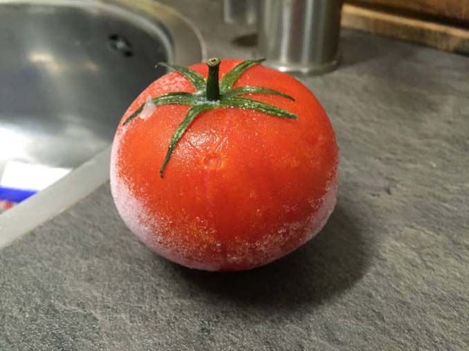Δείτε τι συμβαίνει σε μια ντομάτα αφού βγει από την κατάψυξη (4)