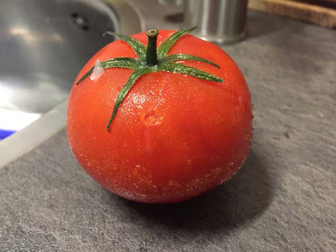 Δείτε τι συμβαίνει σε μια ντομάτα αφού βγει από την κατάψυξη (5)