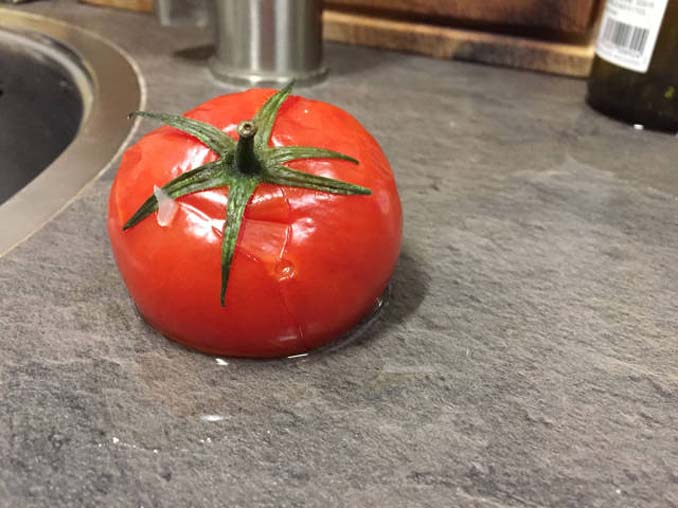 Δείτε τι συμβαίνει σε μια ντομάτα αφού βγει από την κατάψυξη (9)
