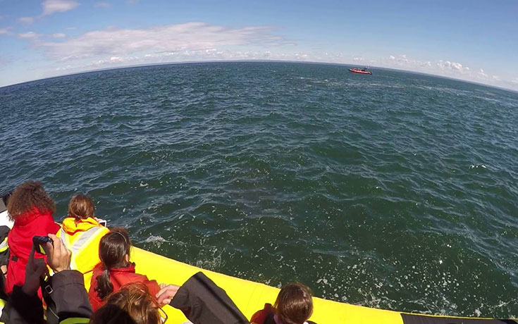 Τουριστικό σκάφος έρχεται σε στενή επαφή με γιγάντια φάλαινα