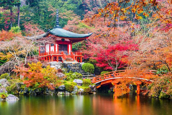 Τα χρώματα της Ιαπωνίας μέσα από εκπληκτικές φωτογραφίες (26)
