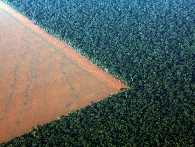 Αποψίλωση του τροπικού δάσους του Αμαζονίου στη Βραζιλία | Φωτογραφία της ημέρας