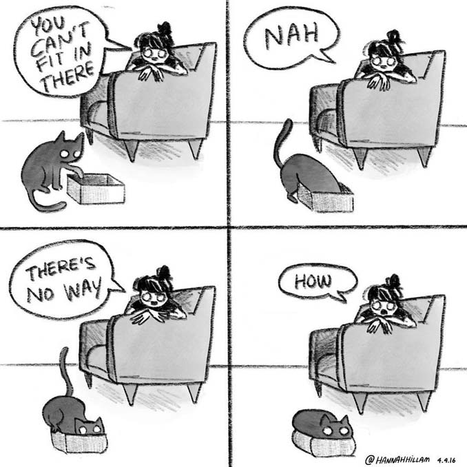 Σκιτσογράφος δείχνει πώς είναι να ζεις με γάτες (7)