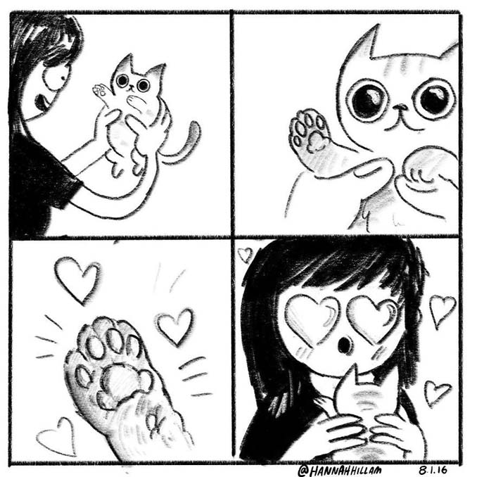 Σκιτσογράφος δείχνει πώς είναι να ζεις με γάτες (13)