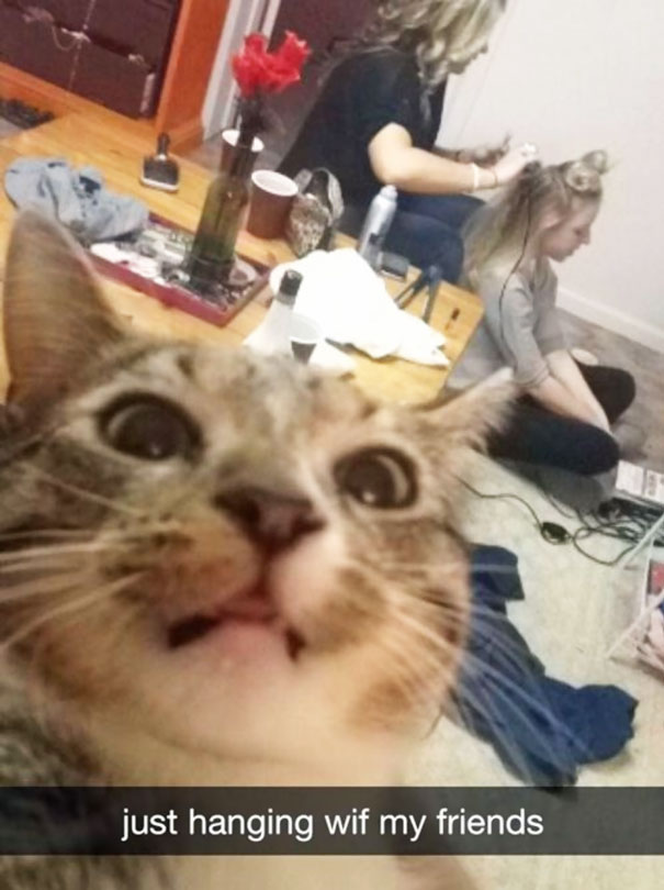 Όταν τα ζώα βγάζουν selfies (23)
