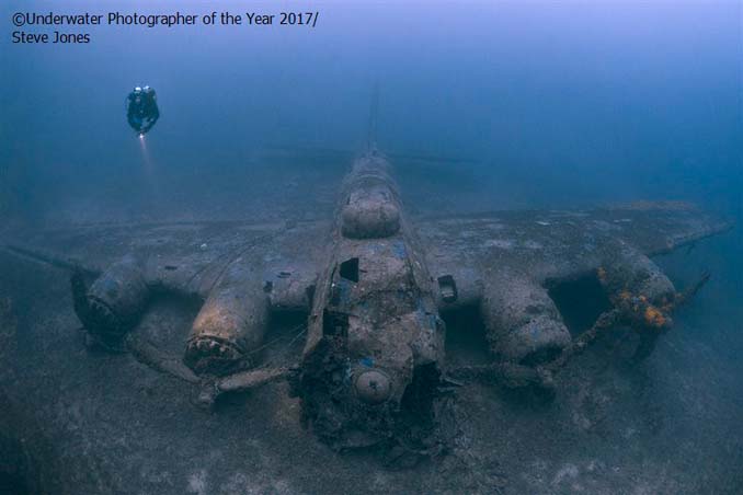 33 από τις κορυφαίες υποβρύχιες φωτογραφίες της χρονιάς (17)