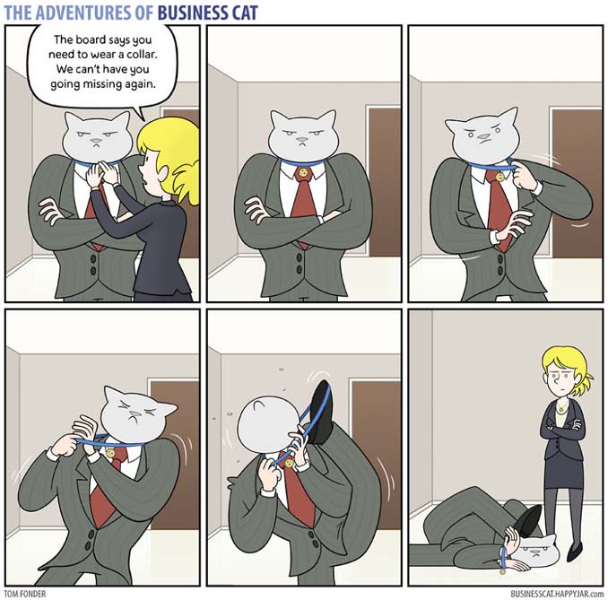 Αν το αφεντικό στο γραφείο ήταν γάτα (15)