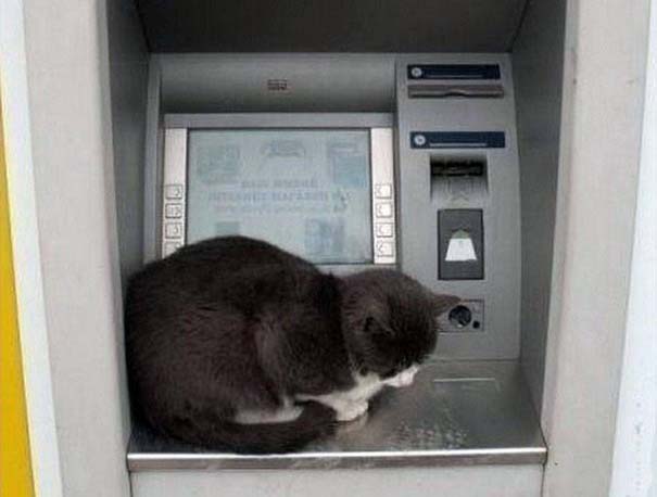 Παράξενα που μπορεί να συναντήσεις σε ένα ATM (1)