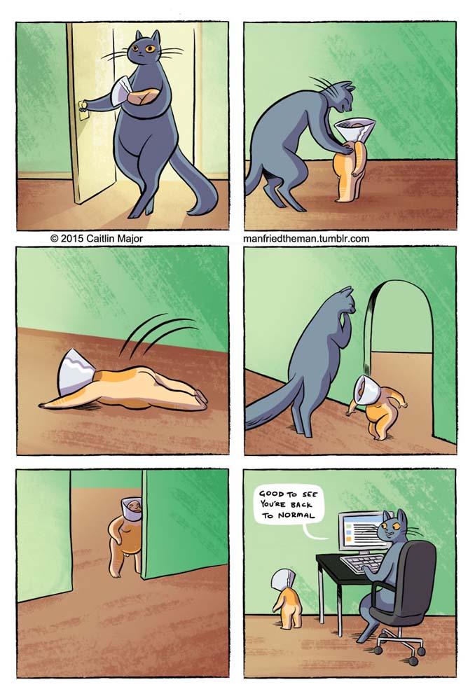 Χιουμοριστικά σκίτσα δείχνουν τι θα συνέβαινε αν άνθρωποι και γάτες αντάλλαζαν ρόλο (12)