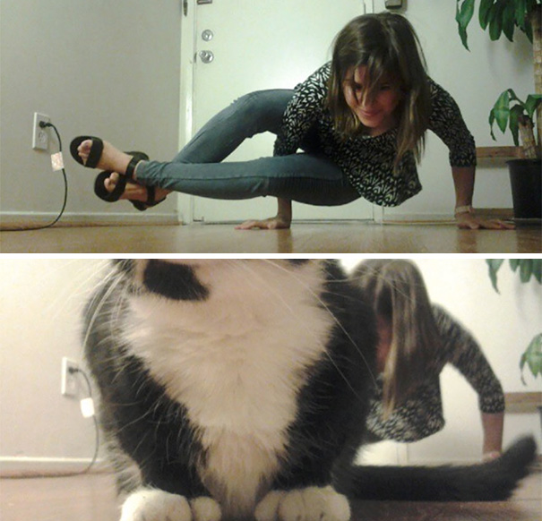 Όταν οι γάτες κάνουν Photobombing (21)